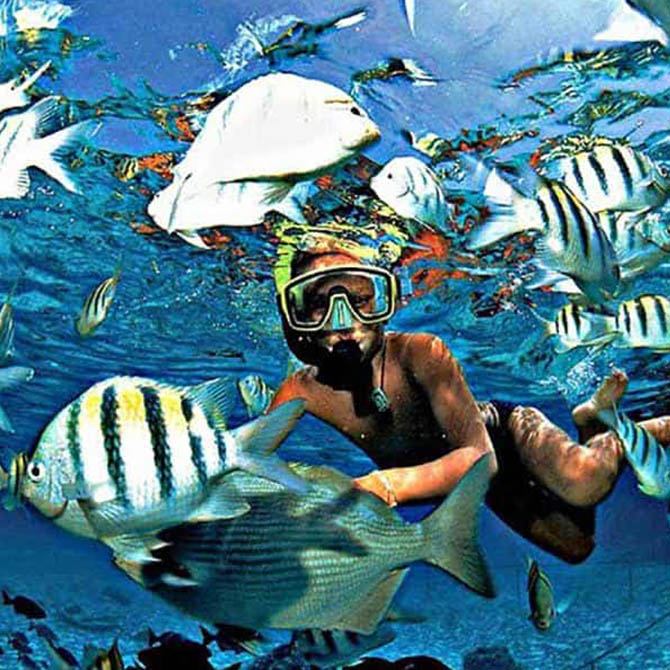 Snorkeling & Diving
